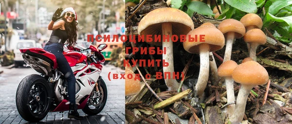 сатива Алексеевка